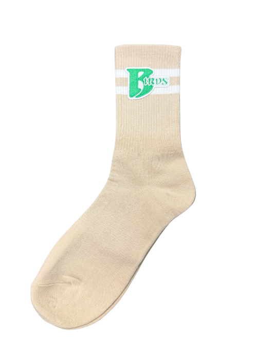 Philly Touchdown Socks