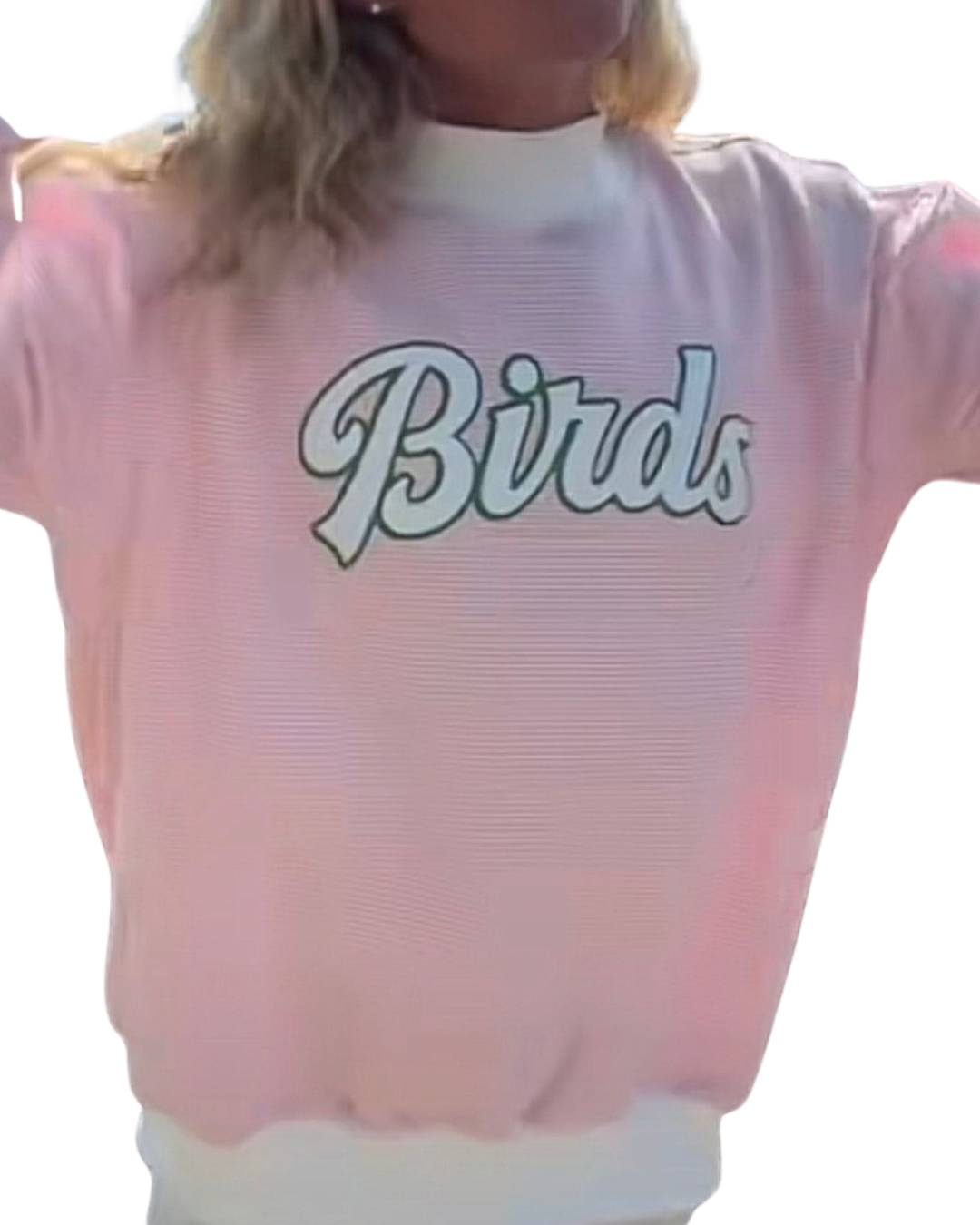 Pink Microstripe Mockneck Sweatshirt